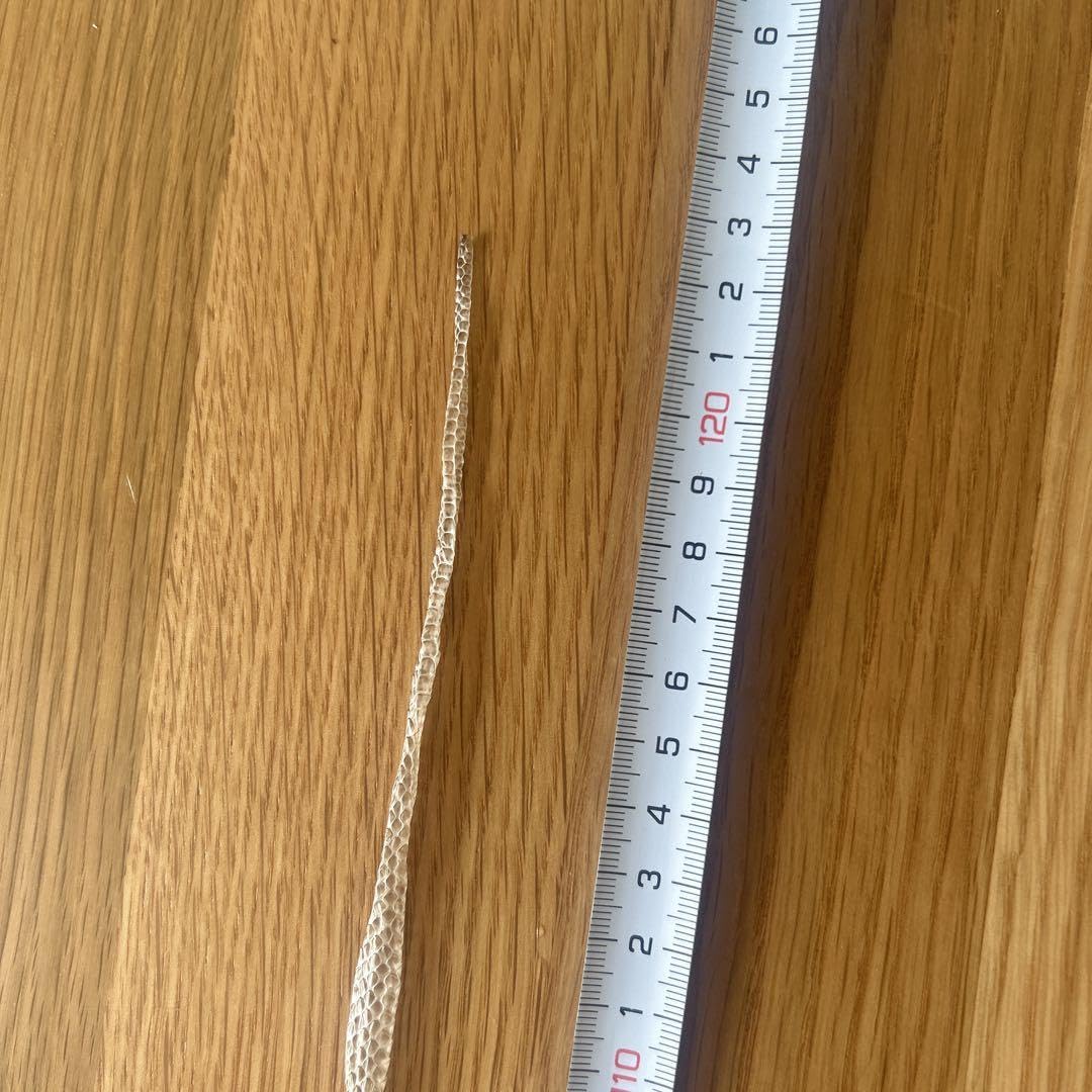 Amazon.co.jp: 蛇の皮 約120cm アオダイショウ 蛇抜け殻 脱皮 一本